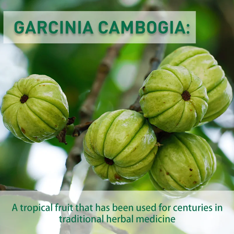 كبسولات جارسينيا كامبوجيا - حر - مراجعة Garcinia Cambogia Extract وسعره